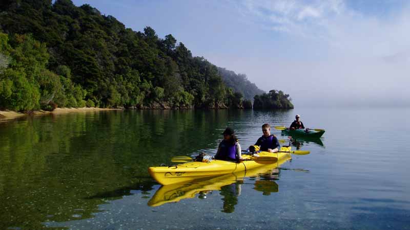 Experience the very best of what the Queen Charlotte Sound has on offer with this kayak and hike or Bike adventure combo.